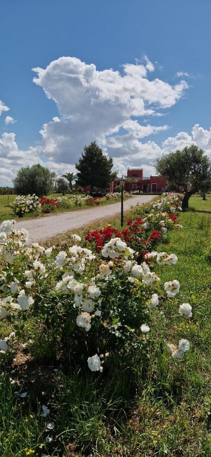 Bed & Breakfast Villa Michela Alezio Exterior foto