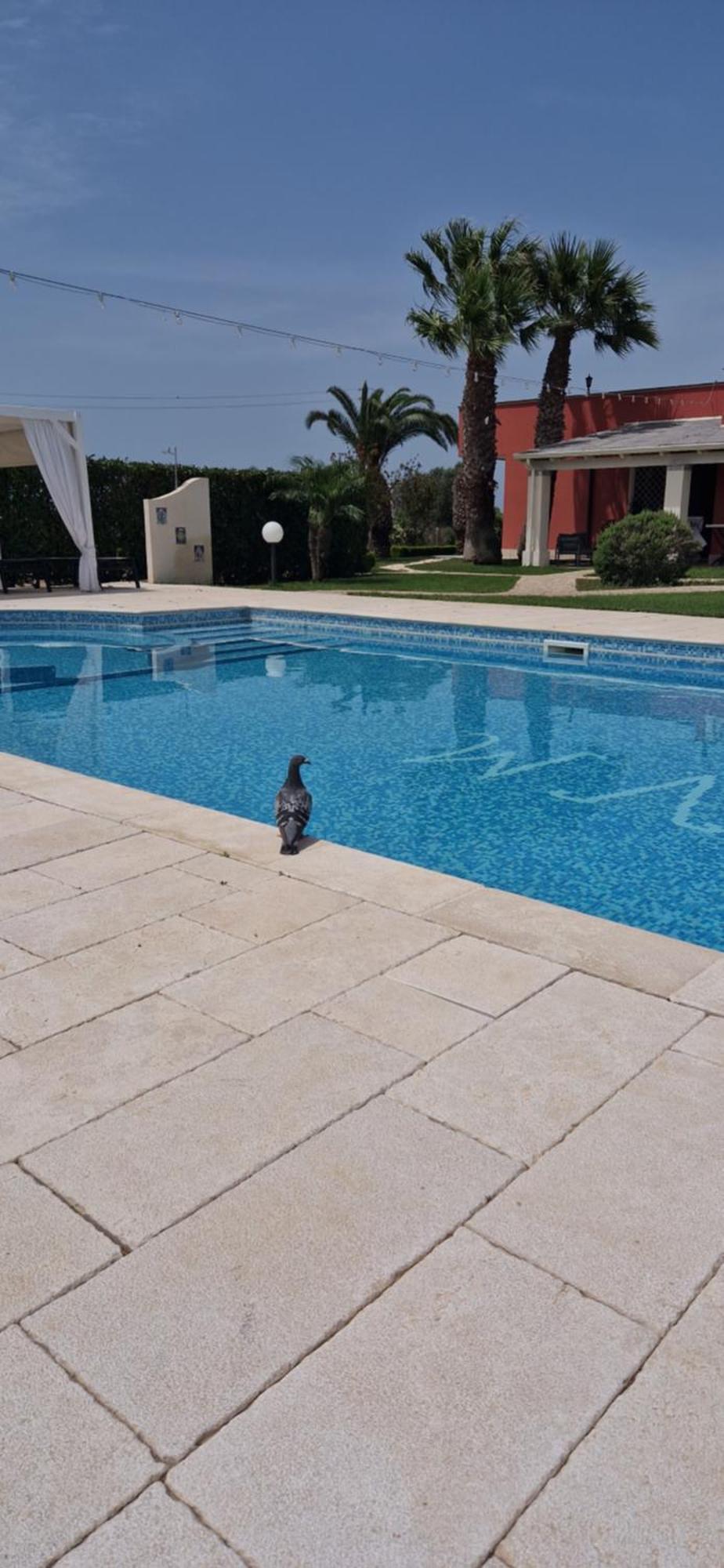 Bed & Breakfast Villa Michela Alezio Exterior foto